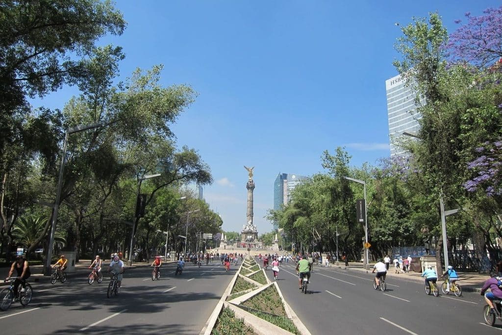 6 Experiences in Mexico City to Enjoy in Spring and Summer